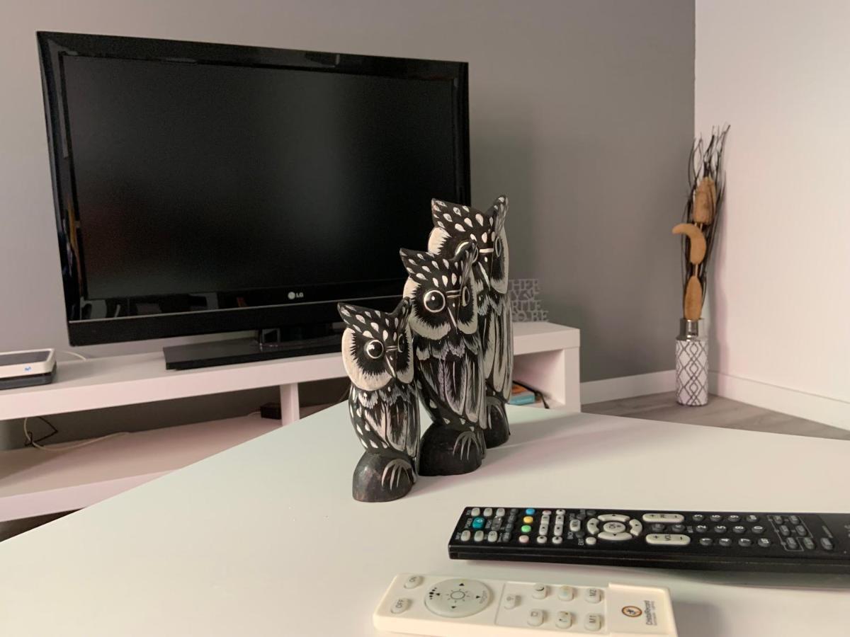 Coliving El Toro Guest house *